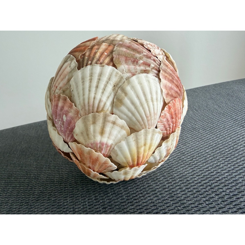Handmade Natural Scallop Seashell Decorative Orb Sphere 6 in Coastal Beach Home - Picture 4 of 11